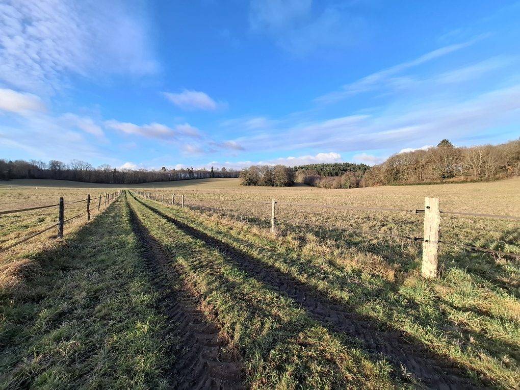 Domaine &Eacute;questre d'Exception destin&eacute;e au bien etre &eacute;quin s