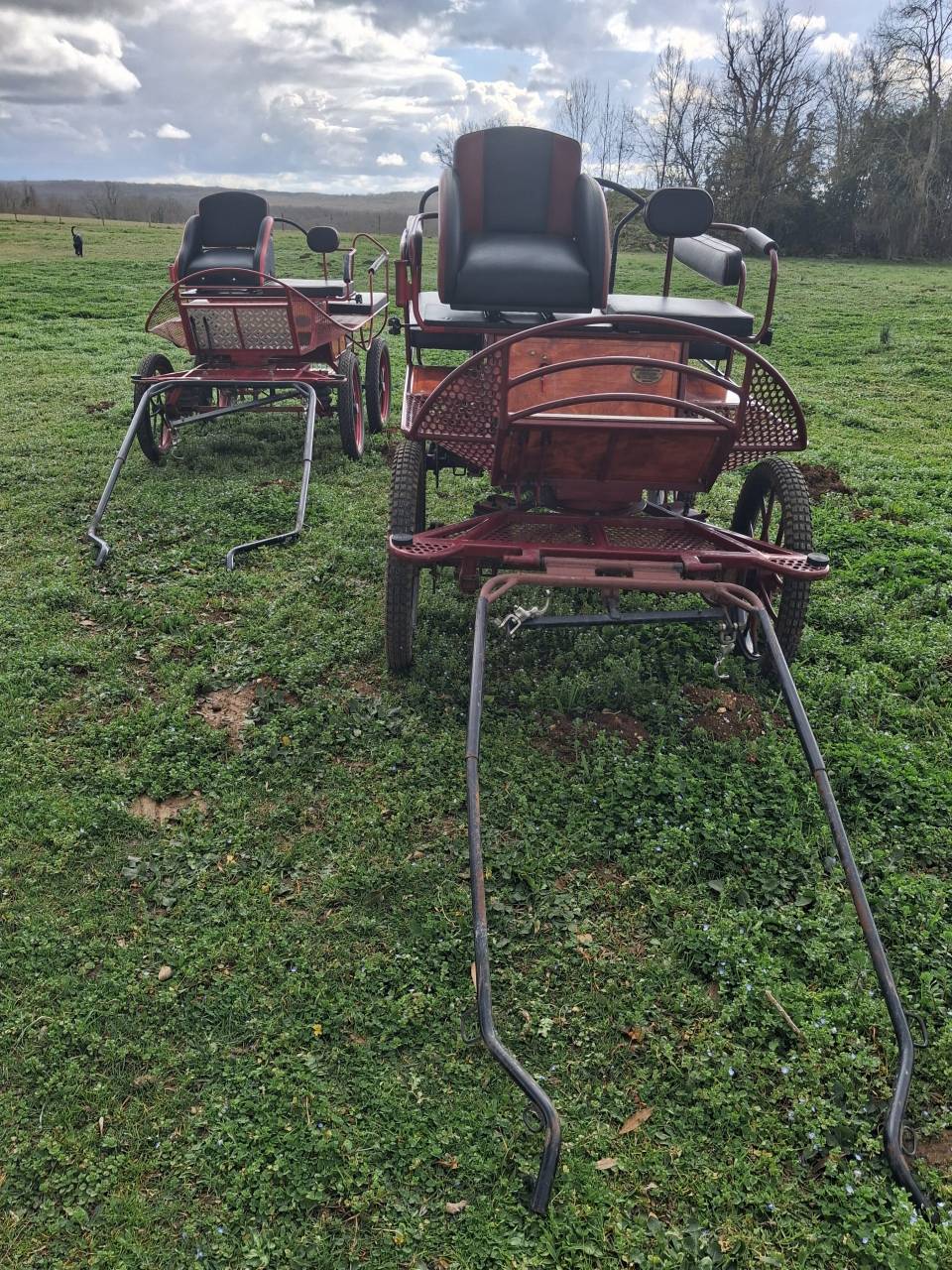 Vends ensemble remorque et cal&egrave;ches 