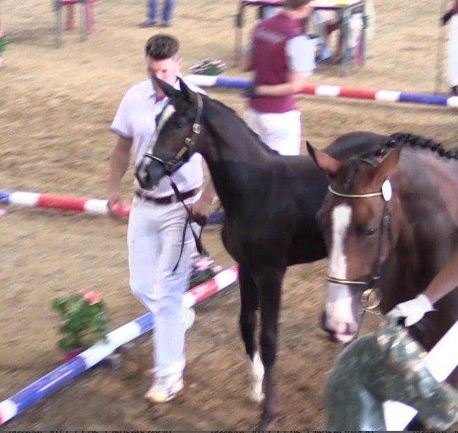 de bon augure pour la suite