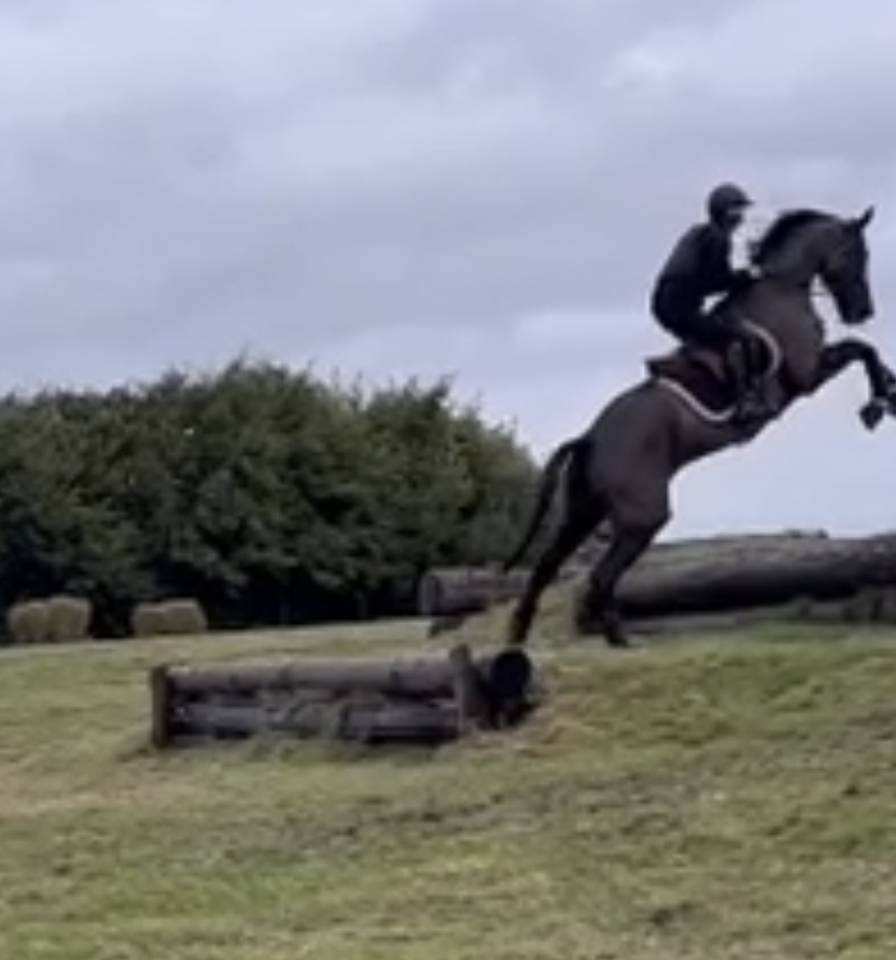 de bon augure pour la suite