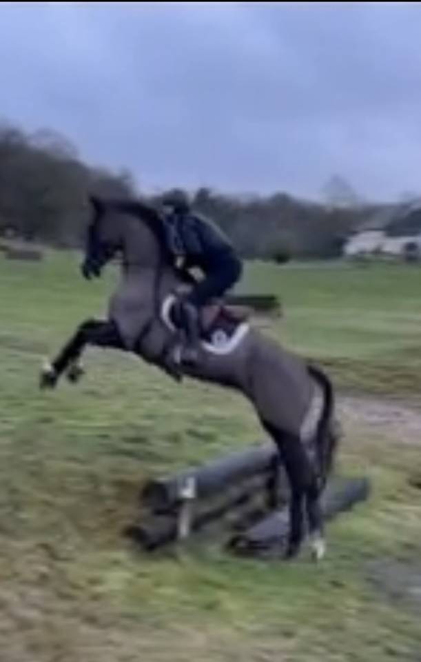 de bon augure pour la suite