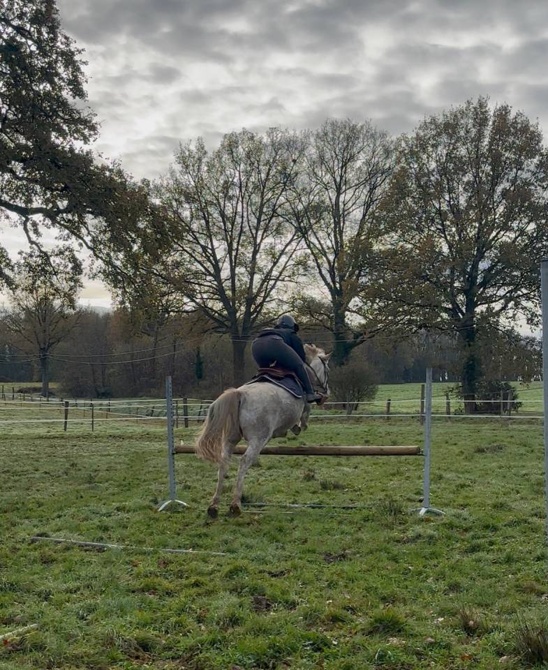 Demi Pension - Adaggio