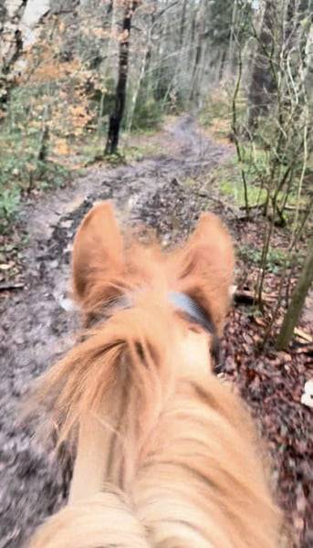 Ponette 7 ans taille D 