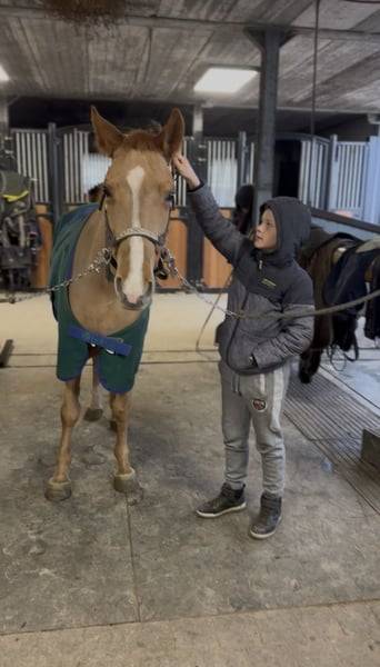 Ponette 7 ans taille D 