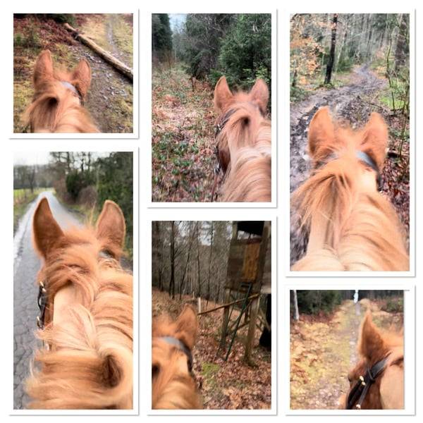 Ponette 7 ans taille D 