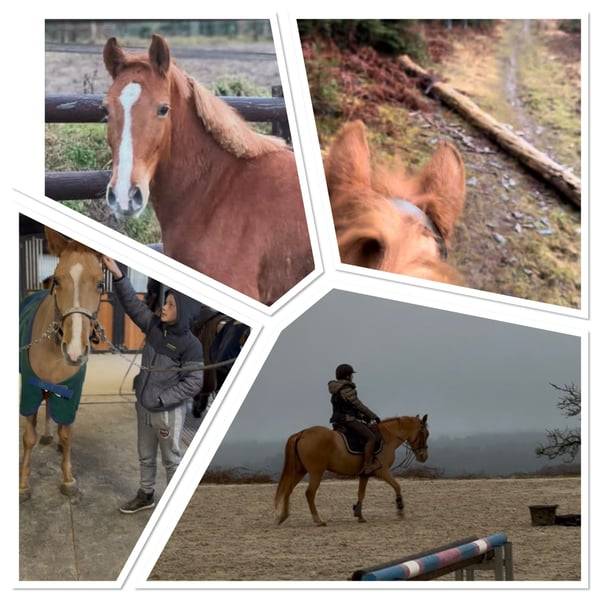 Ponette 7 ans taille D 