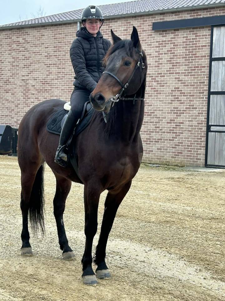 Orzio D&rsquo;Anvaing 