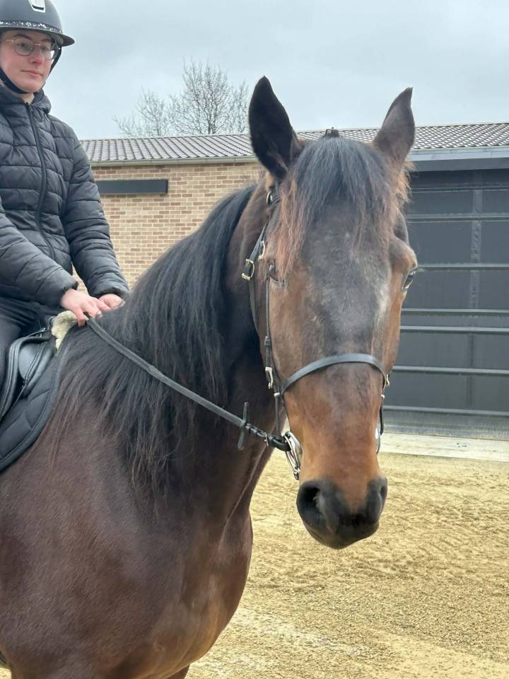 Orzio D&rsquo;Anvaing 