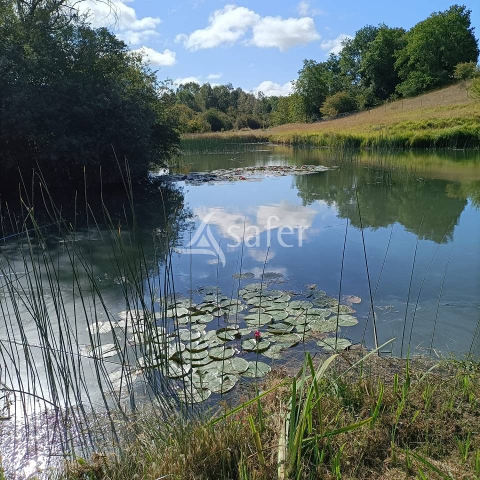 Propri&eacute;t&eacute; &eacute;questre sur 18 hectares
