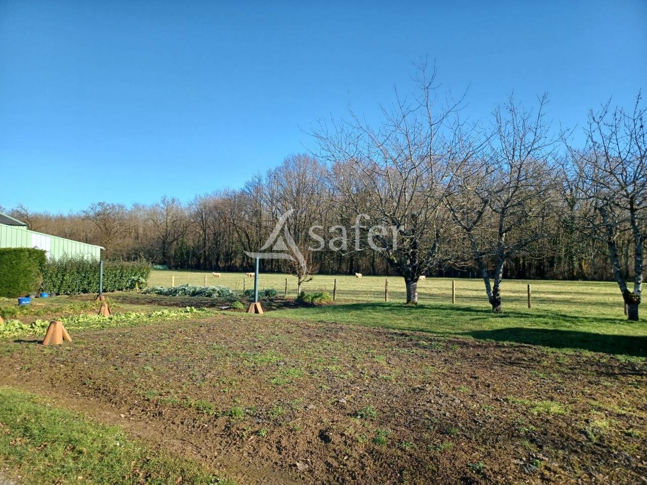 Propri&eacute;t&eacute; &eacute;levage OVIN