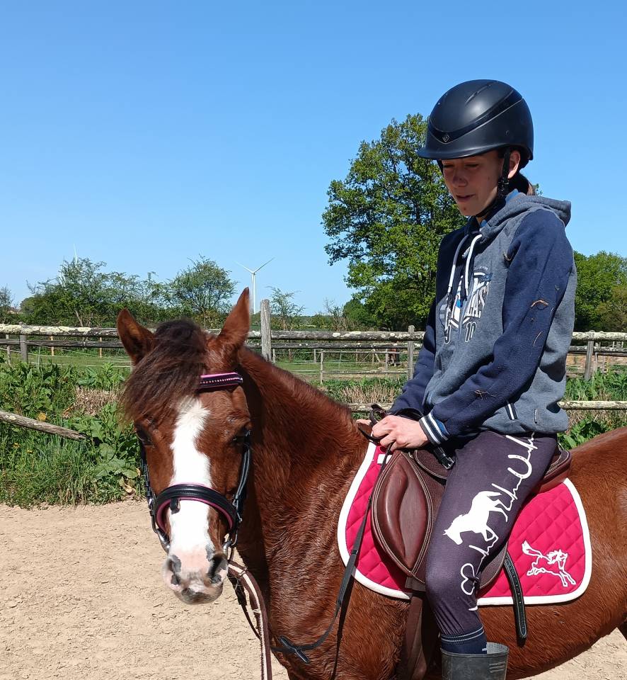 Welsh pony pp, jument import&eacute;e, alezane br&ucirc;l&eacute;e, 1.28