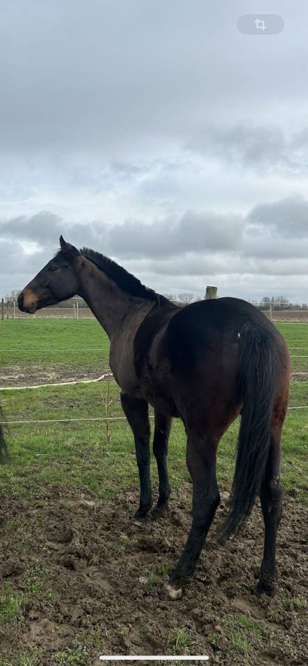 J.JOHN - 4ans - Assurance vie