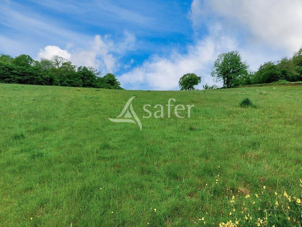 Aux confins de la Creuse et du Puy-de-D&ocirc;me, propri&eacute;t&eacute; b&acirc;tie