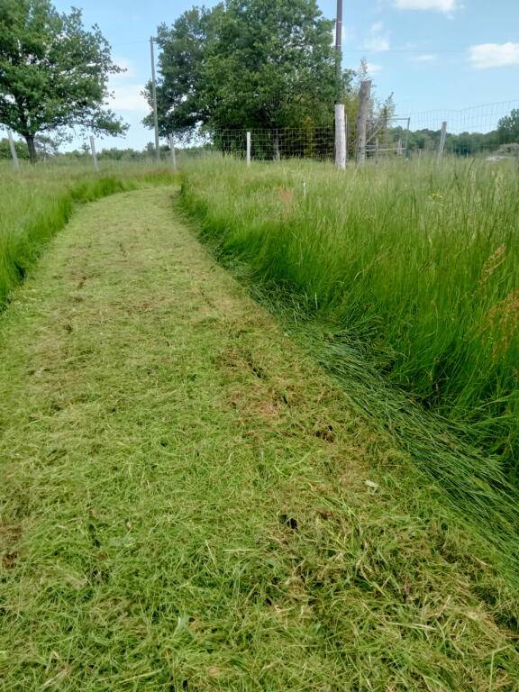 propri&eacute;t&eacute; seul tenant 29HA d&eacute;ale pour &eacute;levage chevaux ,