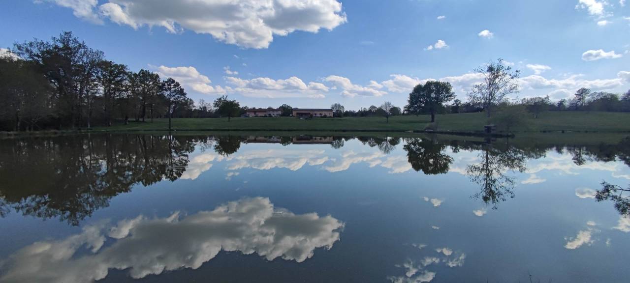 propri&eacute;t&eacute; seul tenant 29HA Id&eacute;alepour &eacute;levage chevaux ,