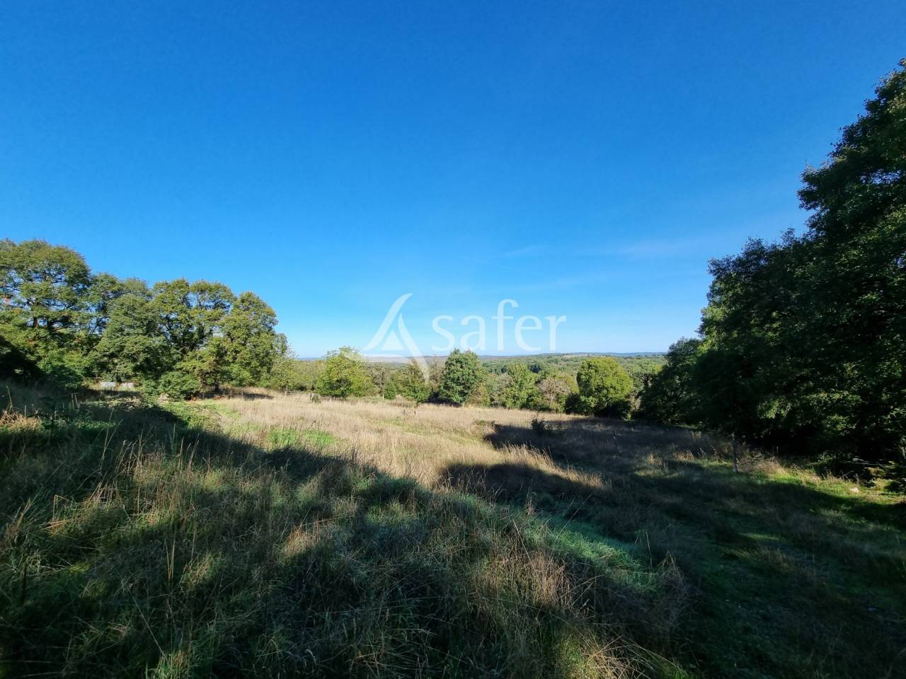 Propri&eacute;t&eacute; &eacute;questre / &eacute;levage sur 32 ha au coeur du Parc Natu