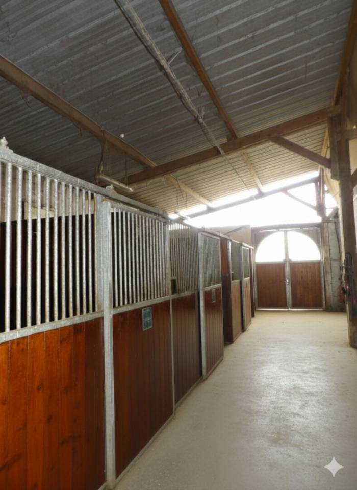 Haras sur 15 Hectares