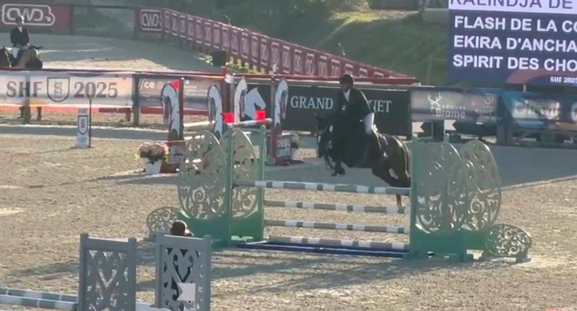 KALINDJA DE VENDIE Ponette D