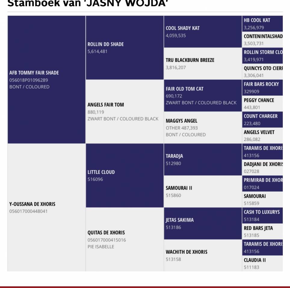 Poulain m&acirc;le 2025