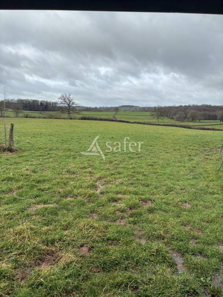 propri&eacute;t&eacute; de charme : ancienne ferme de ch&acirc;teau