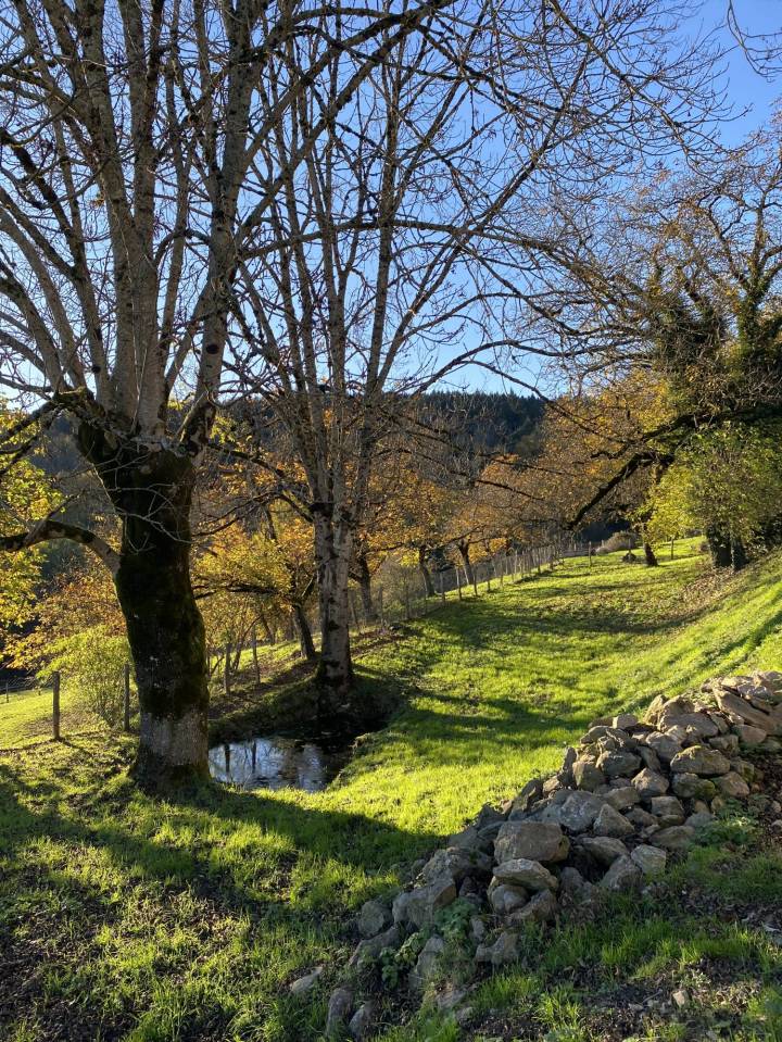 Propri&eacute;t&eacute; au coeur du Parc naturel du Livradois-Forez  27 h