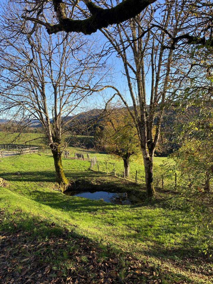 Propri&eacute;t&eacute; au coeur du Parc naturel du Livradois-Forez  27 h