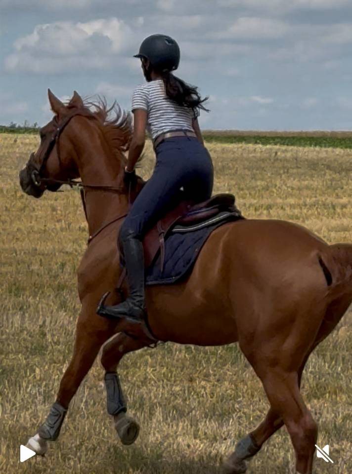 Tr&egrave;s belle jument de 5 ans 