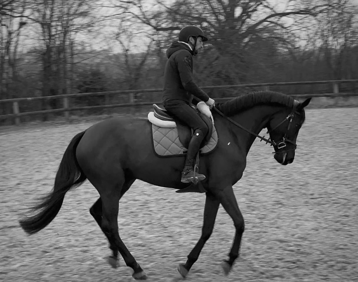 Cavalier Pro - D&eacute;bourrage - travail a pied 