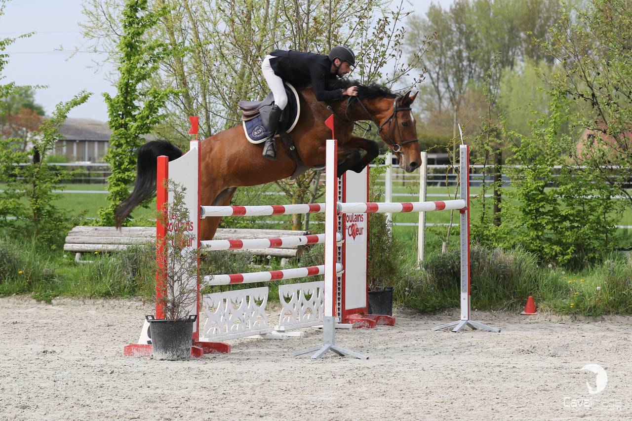 Cavalier Pro - D&eacute;bourrage - travail a pied 