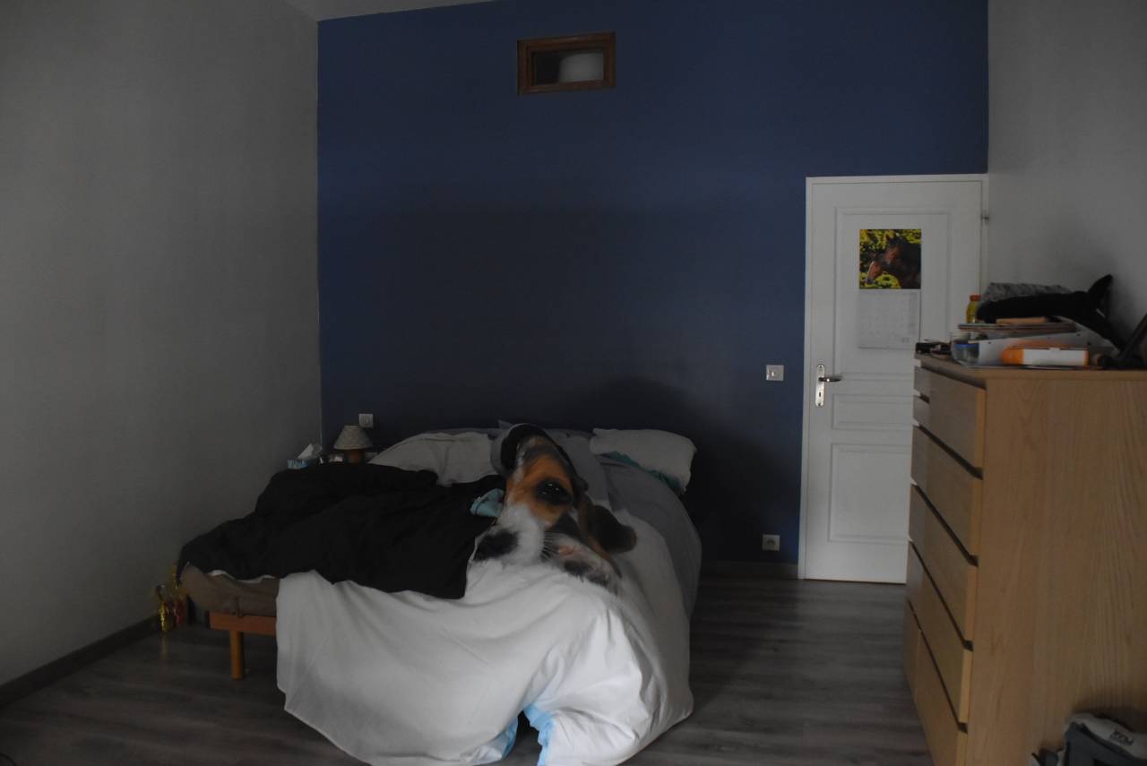 propri&eacute;t&eacute; &eacute;questre