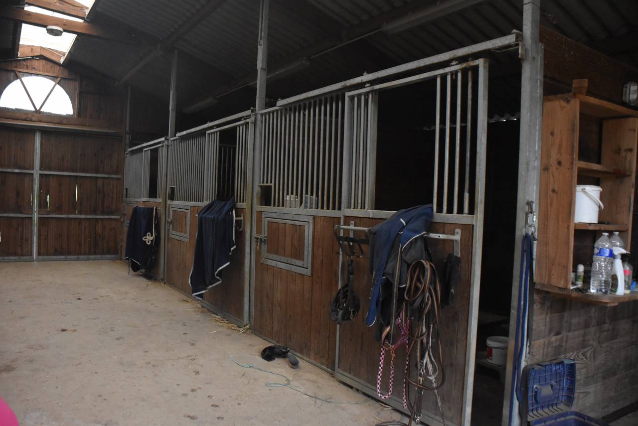 propri&eacute;t&eacute; &eacute;questre