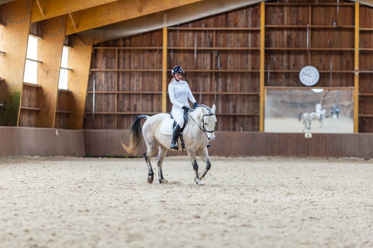 Poney D CSO/ CCE Connemara x Pur sang Arabe