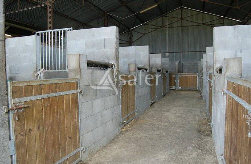 Propri&eacute;t&eacute; &eacute;questre sur 10 ha