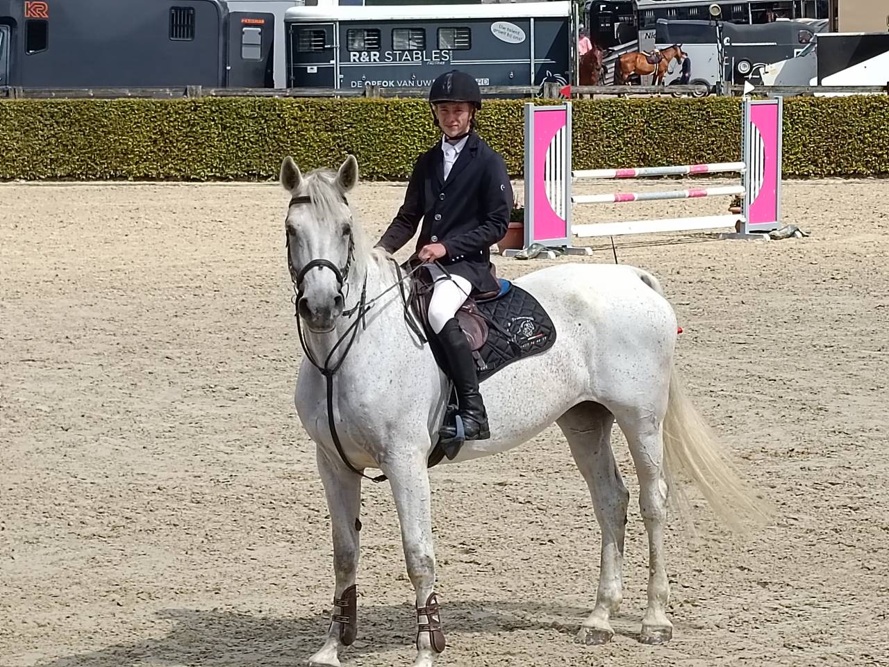 Tr&egrave;s chouette jument 14 ans