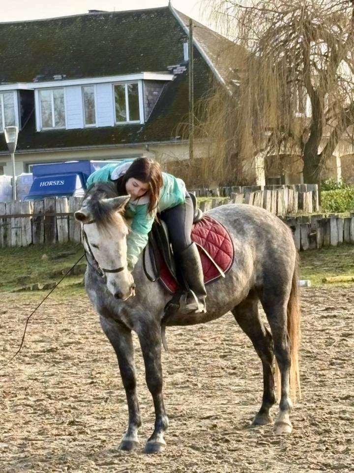 Magnifique Jument Espagnol de 6 ans 