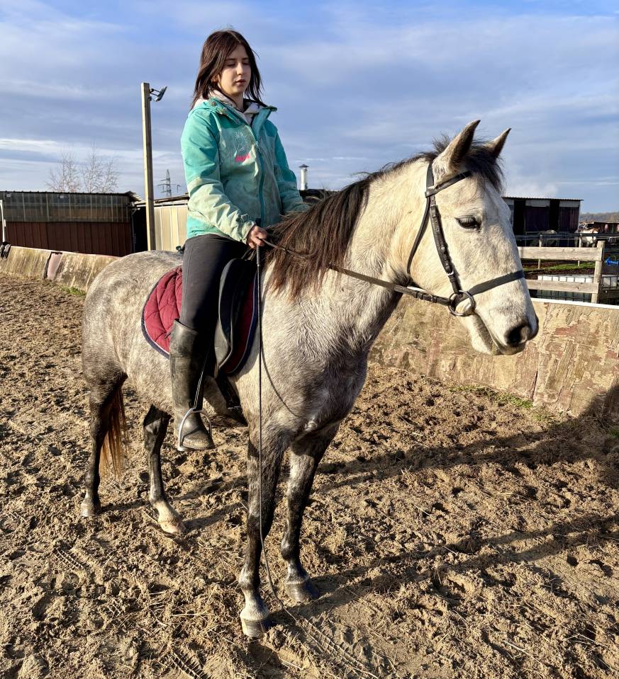 Magnifique Jument Espagnol de 6 ans 