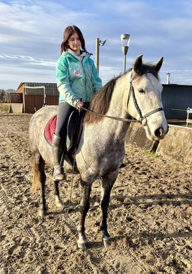 Magnifique Jument Espagnol de 6 ans 