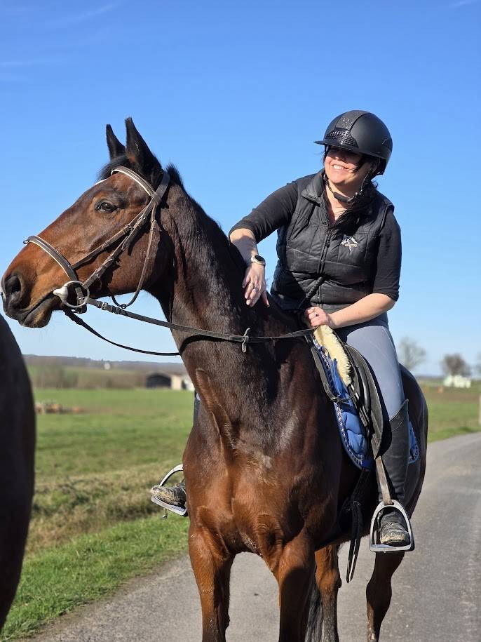 Jument maitre d'&eacute;cole loisirs