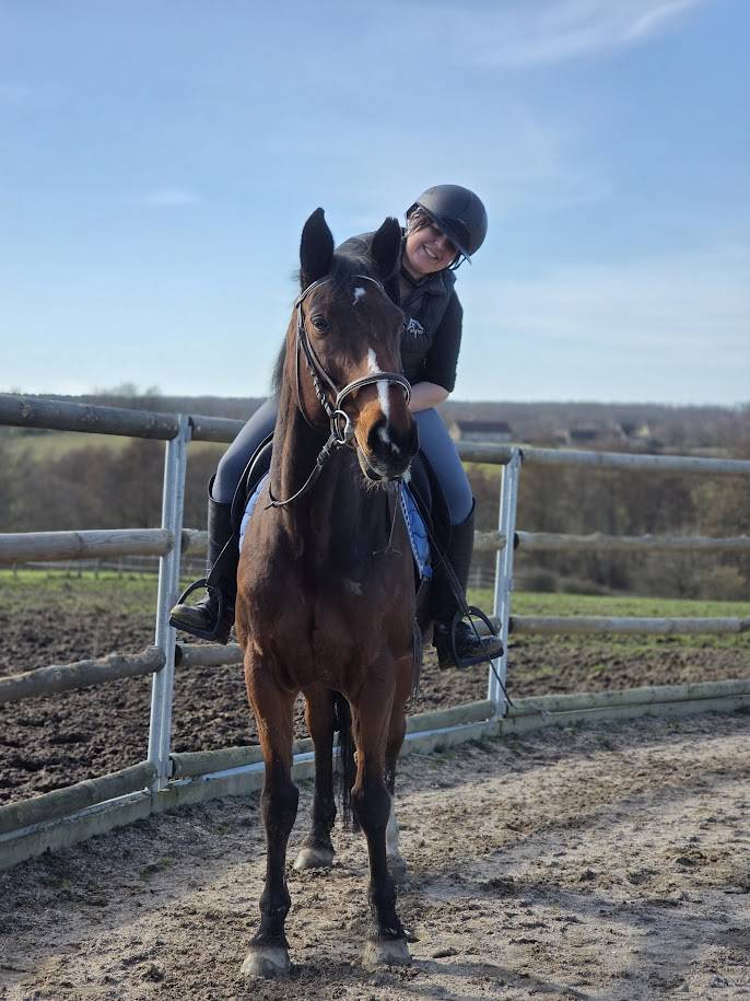 Jument maitre d'&eacute;cole loisirs