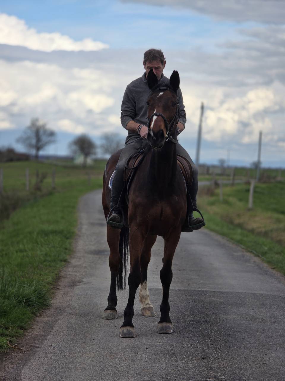Jument maitre d'&eacute;cole loisirs