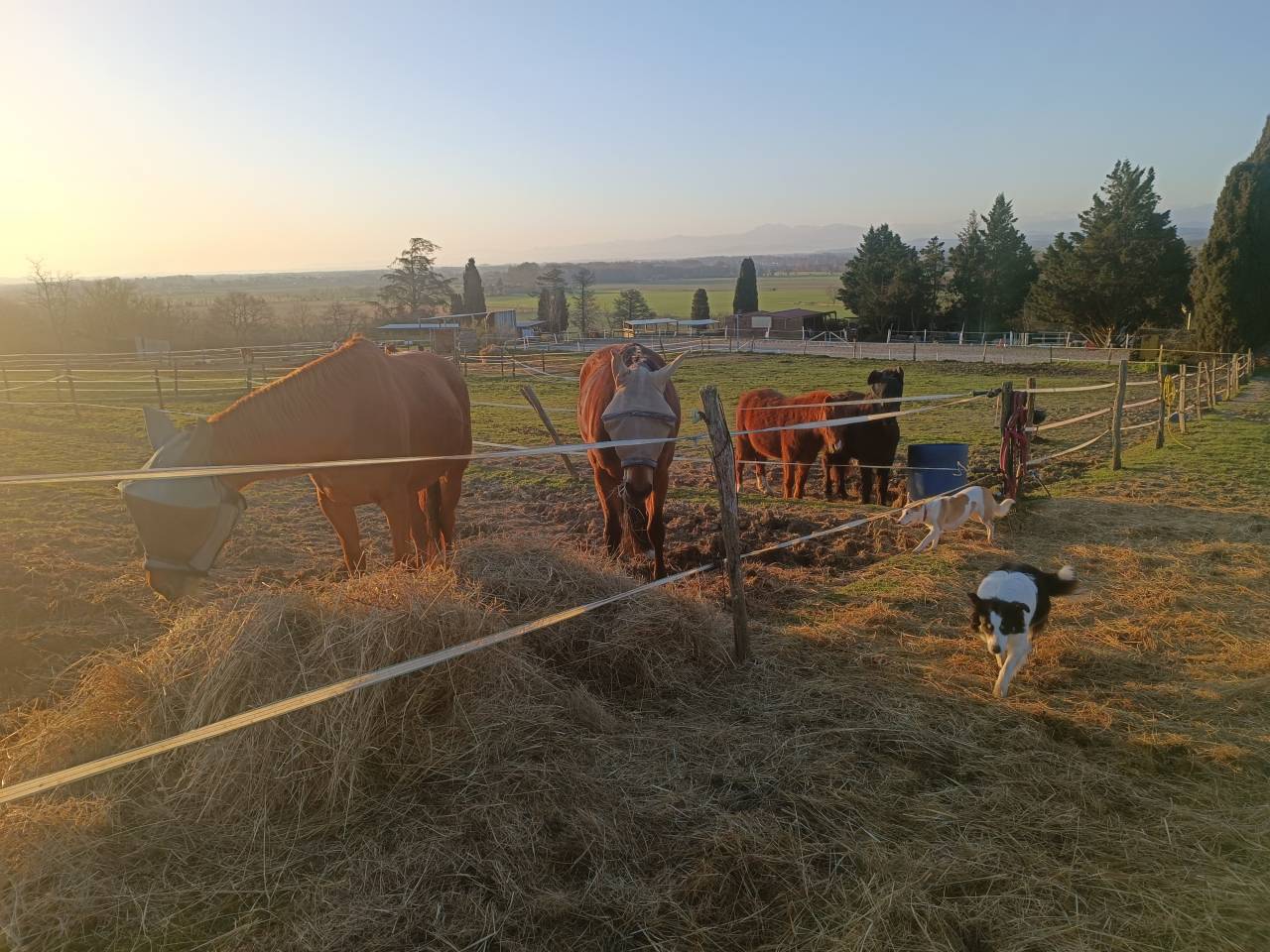 VENTE FONDS DE COMMERCE 