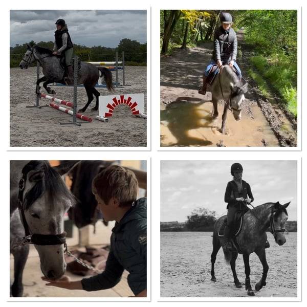 Ponette D 7 ans polyvalente