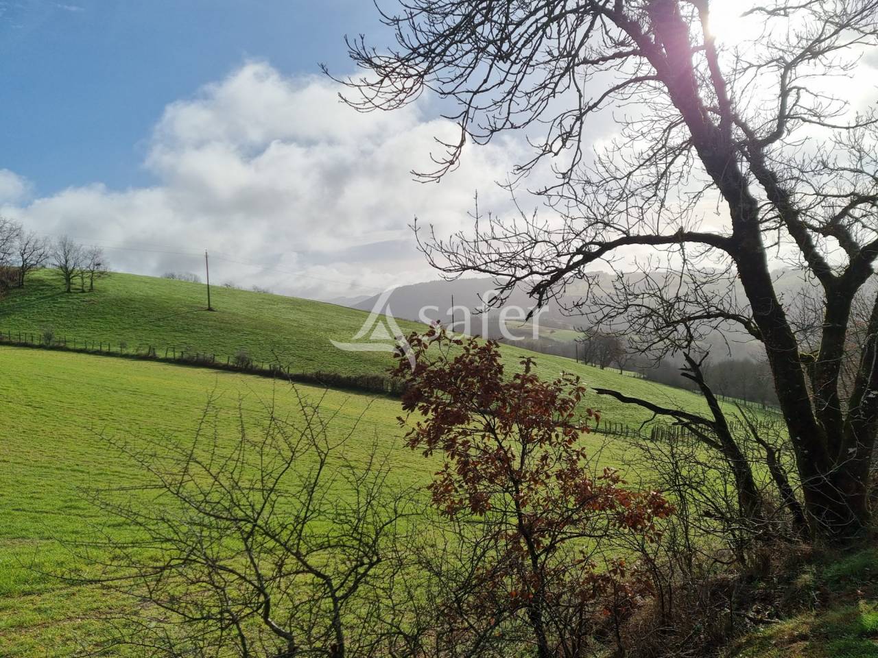 Exploitation agricole id&eacute;al &eacute;levage 102 ha