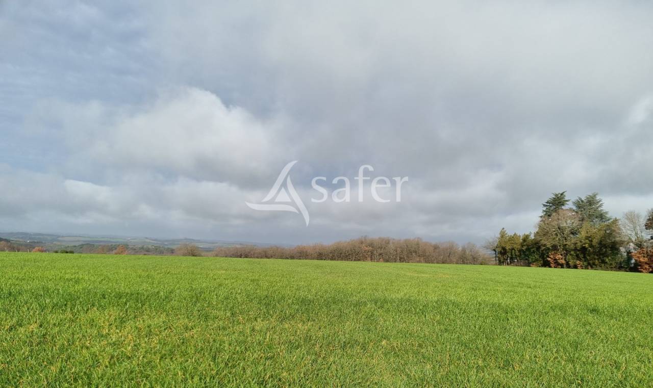 Exploitation agricole id&eacute;al &eacute;levage 102 ha