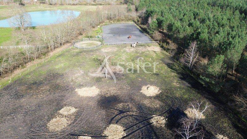 Projet EQUIN: maison r&eacute;cente + infrastructures sur 2 hectares