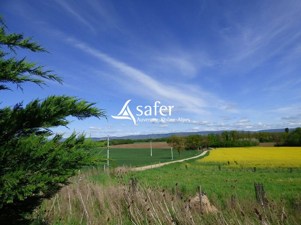 CORMOZ - Ferme bressanne