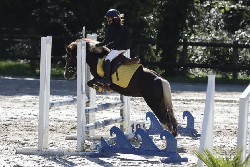 Poney B