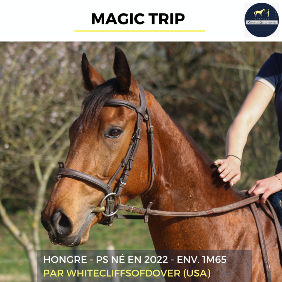 MAGIC TRIP - PS - 4 ANS