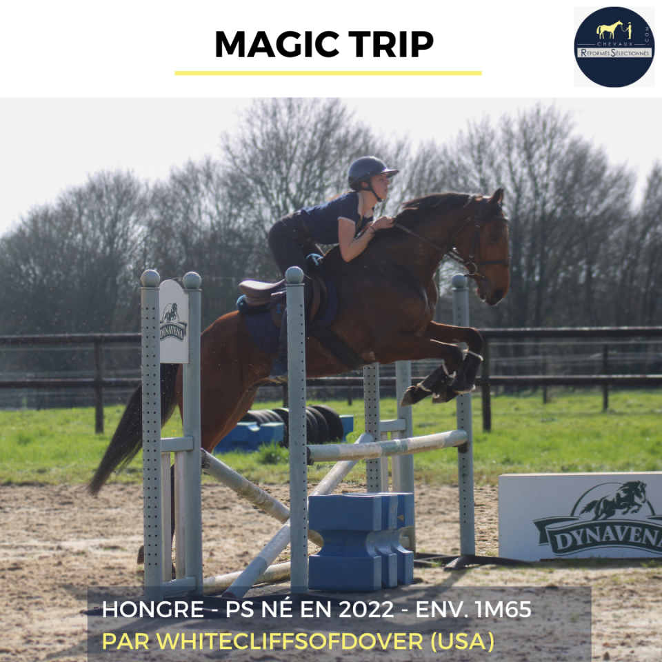 MAGIC TRIP - PS - 4 ANS