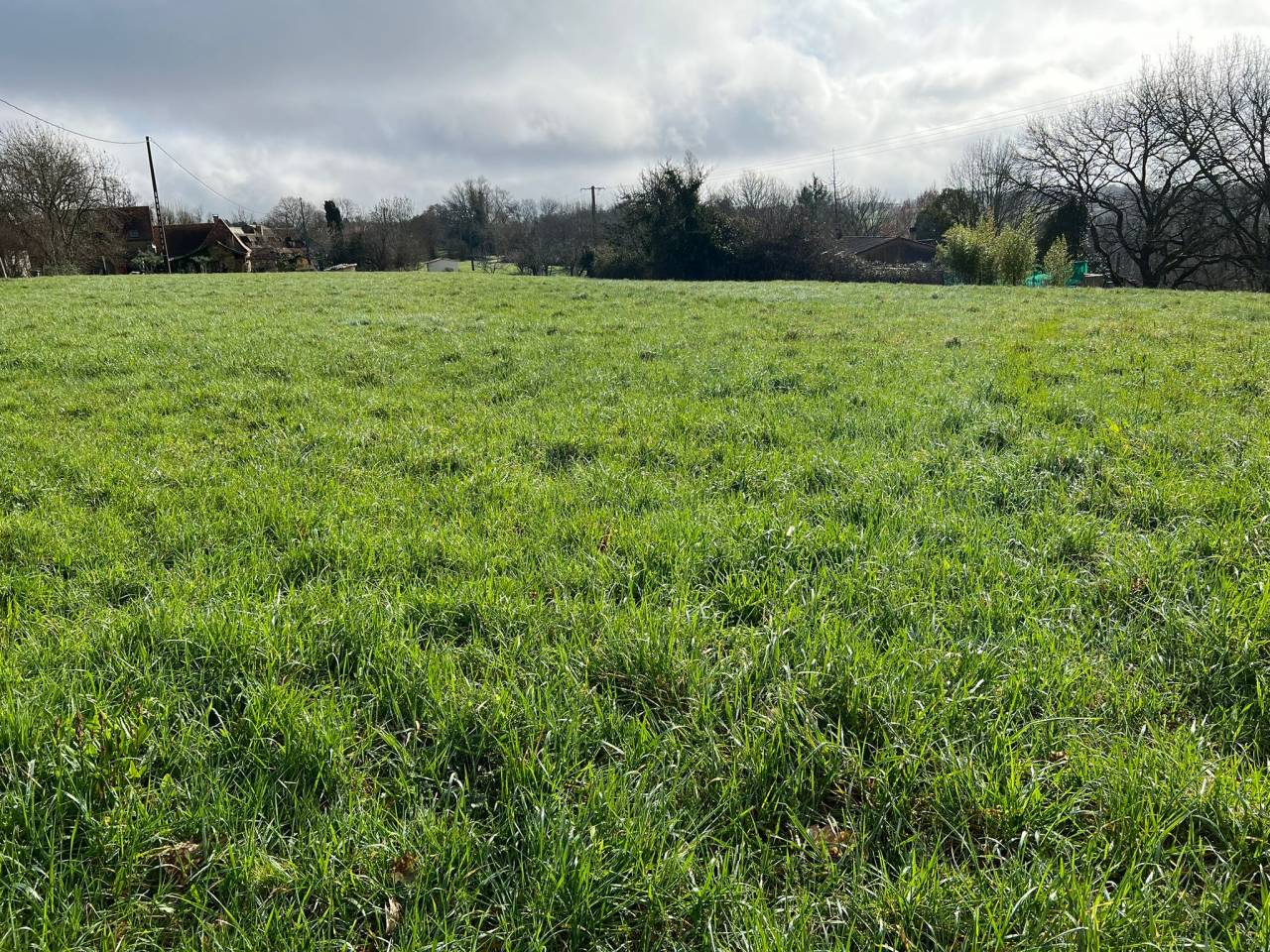 Propri&eacute;t&eacute; id&eacute;ale chevaux sur 6 ha proche BERGERAC (24)